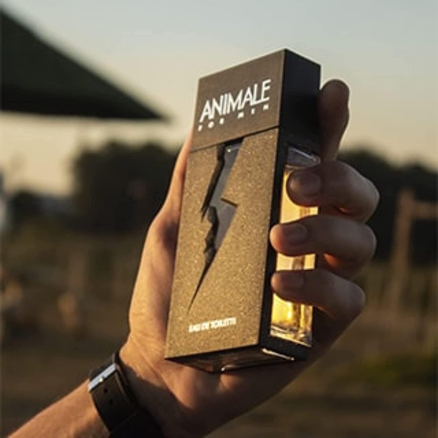 Animale For Men - Eau de Parfum - Pour Hommes