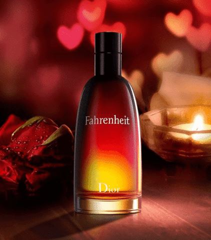 Fahrenheit Dior - Eau de Parfum - Pour Hommes